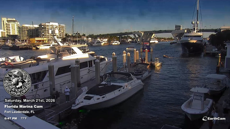 EarthCam 002 0001